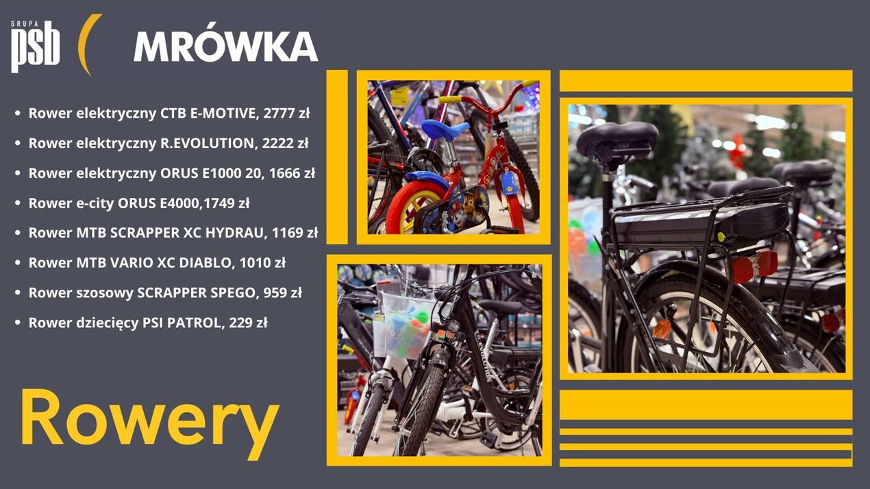 zdjęcie na stronie głównej